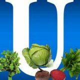 Польза витамина U для здоровья человека