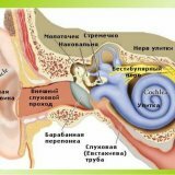 Гнойное воспаление внутреннего уха