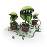 Какие растения опасны для жизни человека