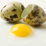Уникальные свойства перепелиных яиц