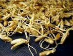 Лечебные свойства проросшей пшеницы