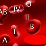Группа крови влияет на здоровье и характер