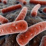 Как туберкулёз поражает организм человека