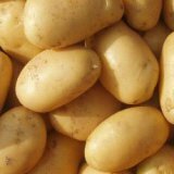 Чем полезна картошка для организма человека