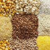 Полезные свойства зерновых культур