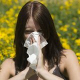 Необычные методы борьбы с аллергией