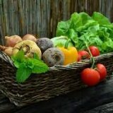 Содержание нитратов и пестицидов в растительных продуктах