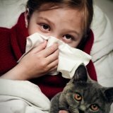 Лечение аллергии на домашних животных