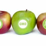 Как продукты содержащие ГМО влияют на организм человека