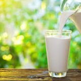 Чем молоко полезно для организма и здоровья